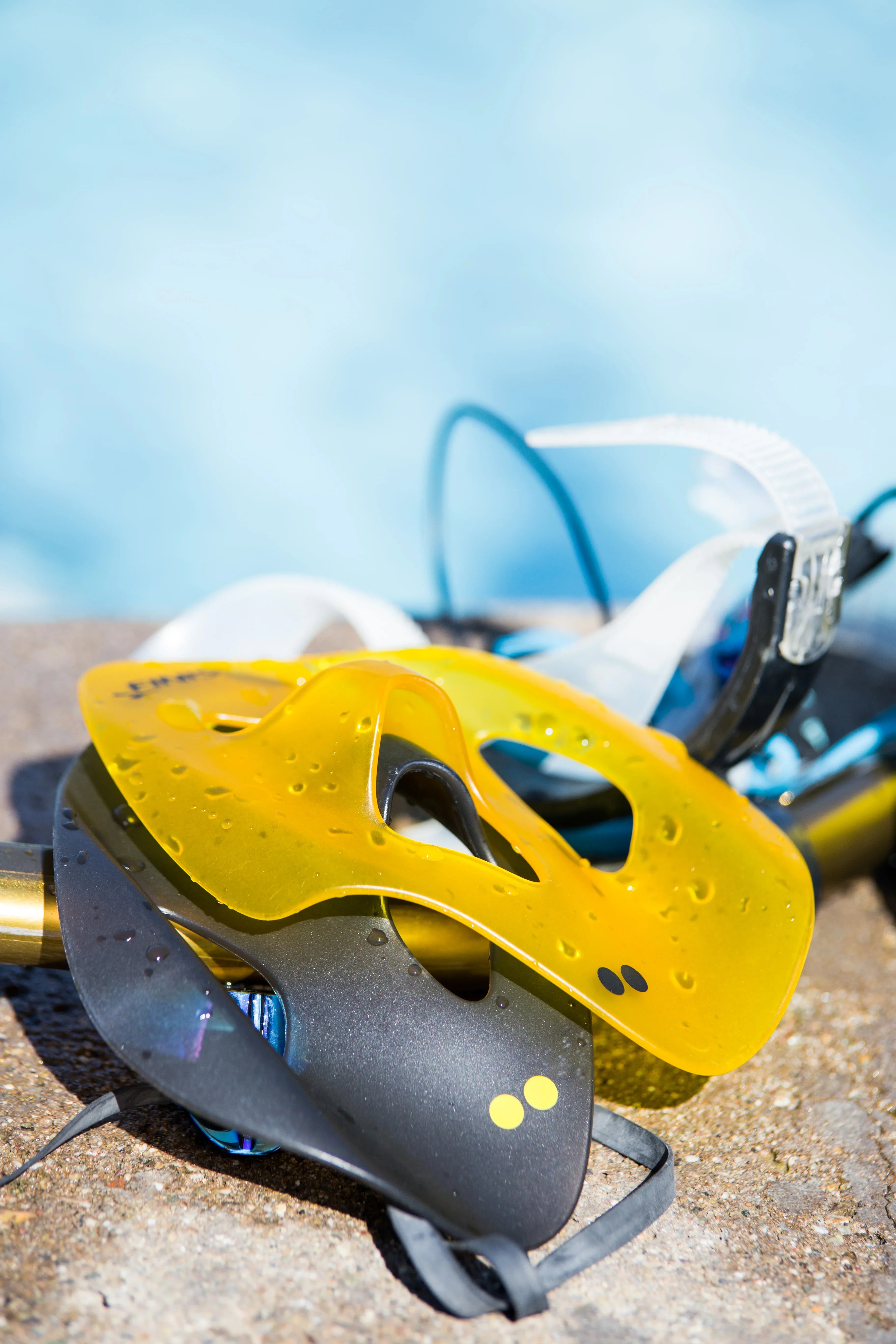 FINIS ISO - Tali Sport-3/6