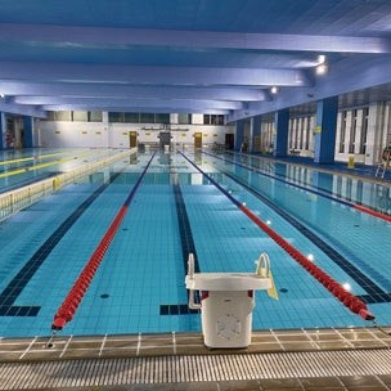 Tali Sport swimming pool lane markers with red and blue floating buoys installed in an indoor competition pool-9/12 