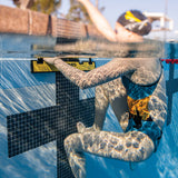 FINIS BACKSTROKE START WEDGE - Tali Sport 